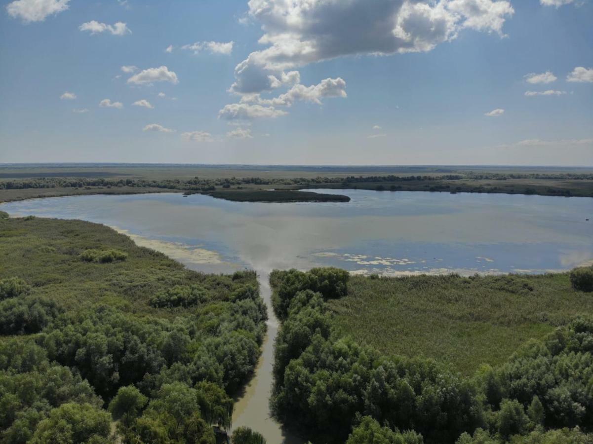 Pensiunea Yogi Maison d'hôtes Dunavăţu de Jos