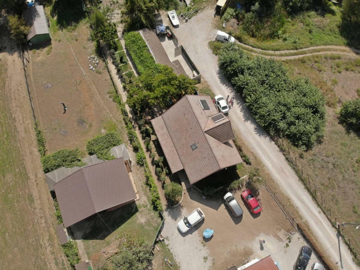 Pensiunea Yogi Maison d'hôtes Dunavăţu de Jos